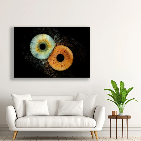 Art Gallery Collection