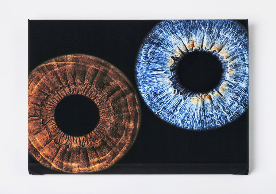 Canvas (Glossy / Mat)